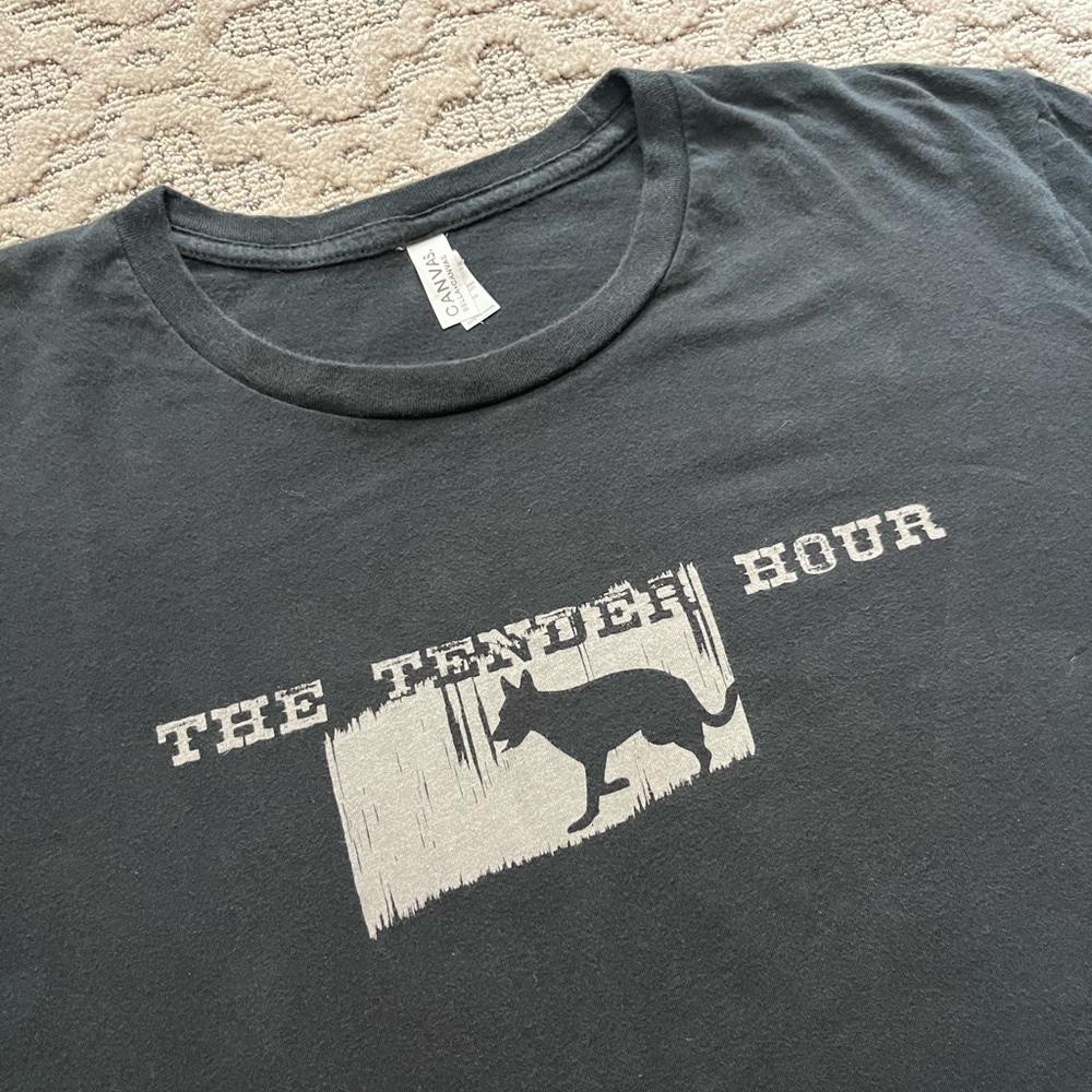 🎸 '15 Amy Ray Solo Artist Tour Tender Hour Dog Live In Seattle Album IG Soft Tee - Picture 7 of 13